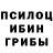 Псилоцибиновые грибы мухоморы Kossfan