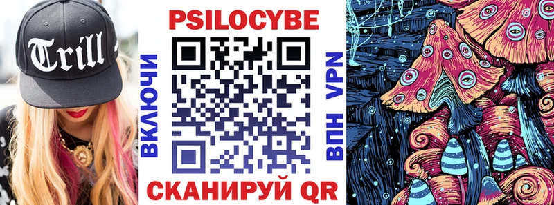 Псилоцибиновые грибы Psilocybine cubensis  купить   МЕГА как зайти  Богородск 